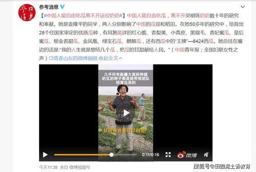 今日吃瓜网在线91,在线91独家揭秘,带你领略娱乐圈幕后风云