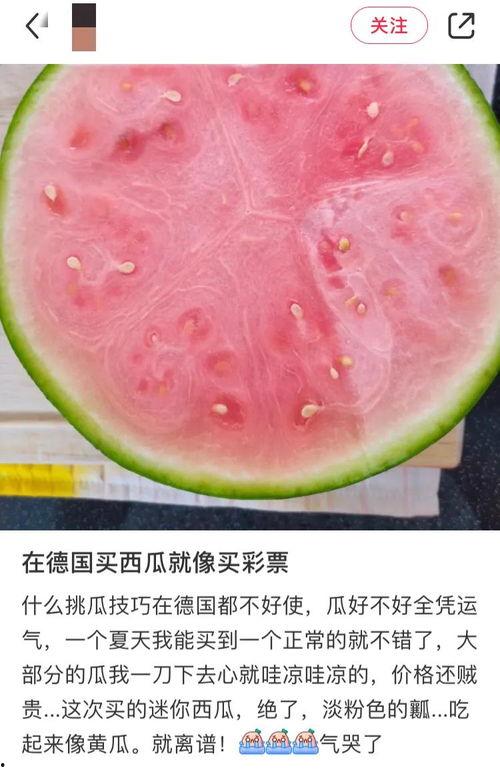 外国人民吃瓜,外国人民如何享受这一独特文化体验