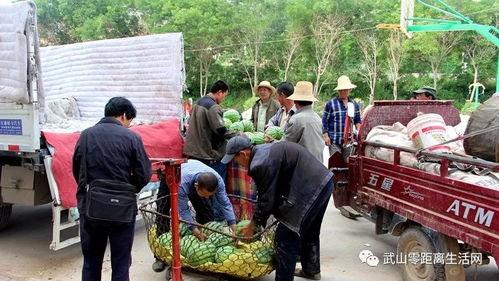 金昌吃瓜群众,揭秘当地生活百态