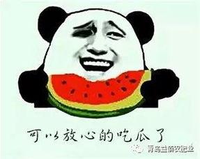 吃瓜群众还是多,娱乐圈最新热点事件深度解析