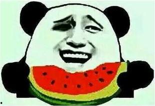 12万吃瓜群众,揭秘网络热点背后的故事