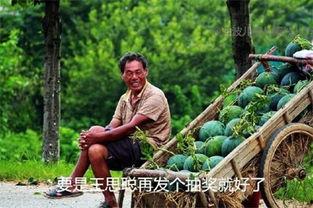 吃瓜日记解说,揭秘娱乐圈幕后故事