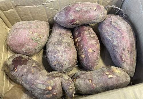 梦见买土瓜地瓜吃,揭秘买土瓜地瓜吃的神秘寓意